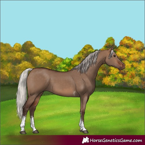 Horse Color:Silver Brown Dun Sabino Tobiano Rabicano 