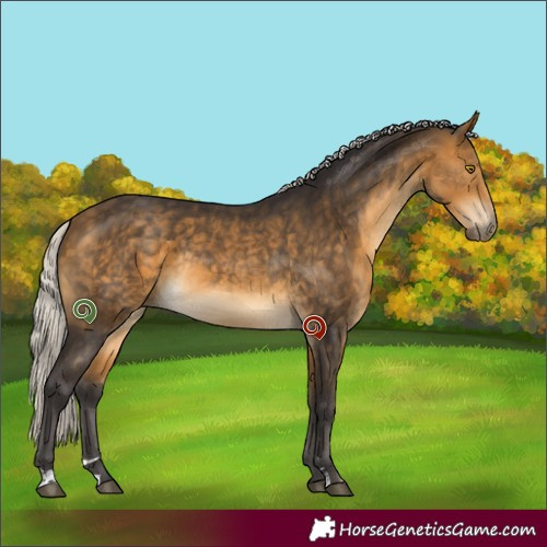 Horse Color:Silver Buckskin Sabino Rabicano 