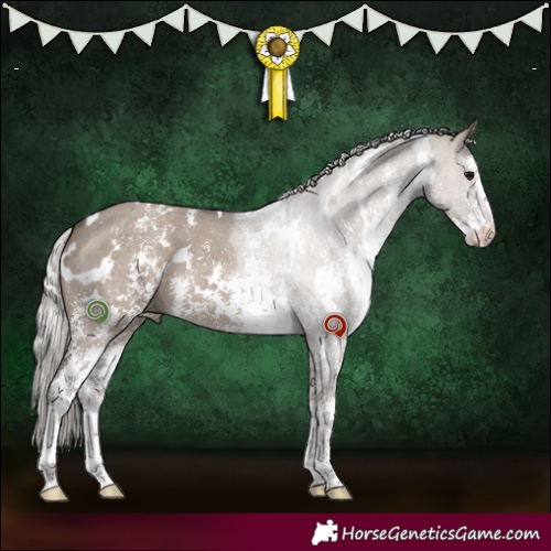 Horse Color:White Spotted Silver Grullo Sabino 