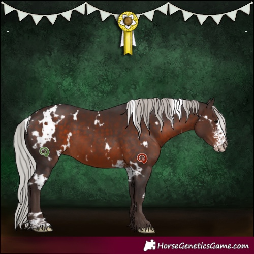 Horse Color:White Spotted Silver Brown Sabino 