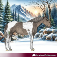 Horse Color:Silver Smoky Grullo Tobiano