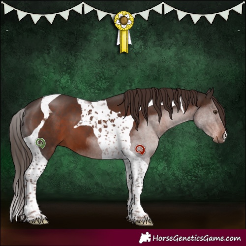 Horse Color:Liver Chestnut Tobiano 