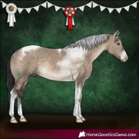 Horse Color:White Spotted Brown Dun Tobiano Rabicano