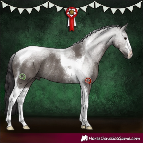 Horse Color:White Spotted Smoky Grullo Tobiano Rabicano 