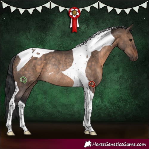 Horse Color:Brown Dun Tobiano Rabicano 