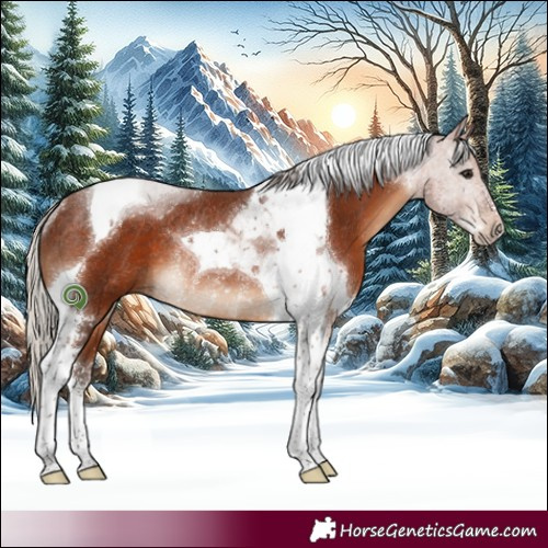 Horse Color:Silver Bay Sabino Tobiano Rabicano 