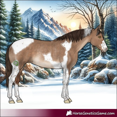 Horse Color:Liver Red Dun Tobiano Rabicano 