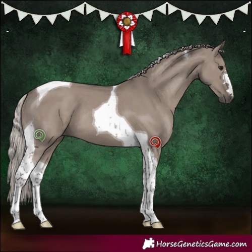 Horse Color:Silver Grullo Tobiano 