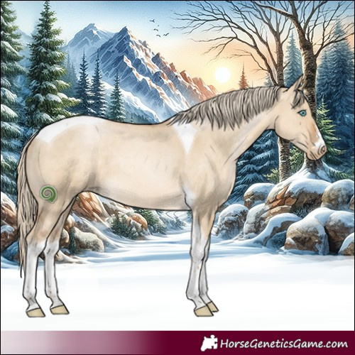 Horse Color:Chocolate Palomino Pearl Dun Tobiano Rabicano