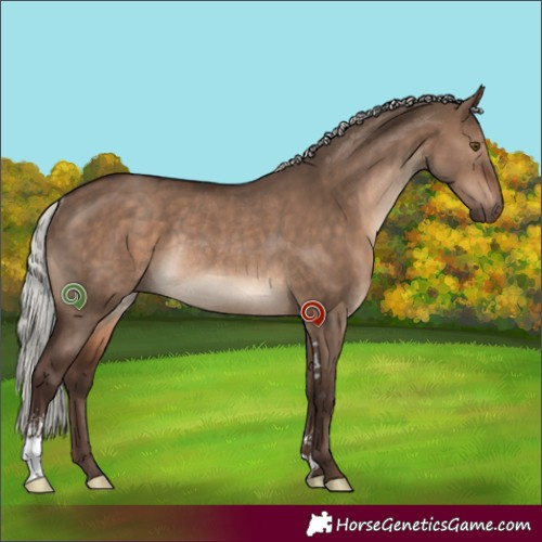Horse Color:Silver Brown Dun Sabino Rabicano 