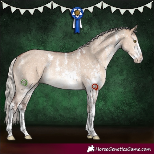 Horse Color:Silver Brown Dun Sabino Rabicano 