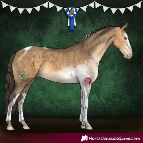Horse Color:Buckskin Dun Sabino Tobiano 