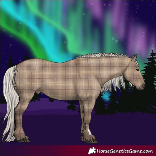 Horse Color:Plaid  Silver Grullo 