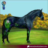 Horse Color:ERROR: UNKNOWN ANOMALY