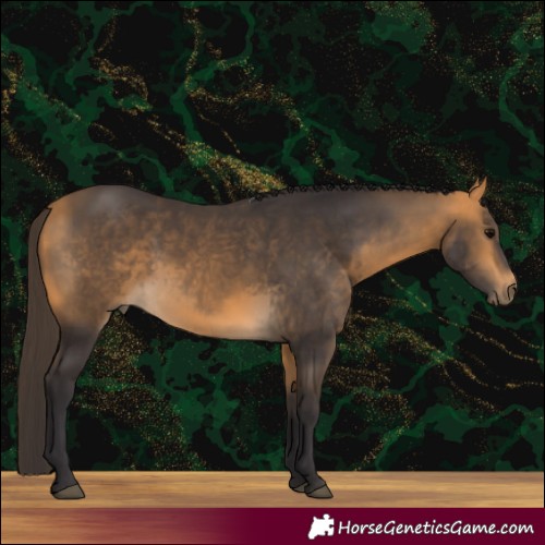Horse Color:Buckskin 