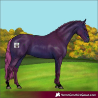 Horse Color:ERROR: UNKNOWN ANOMALY