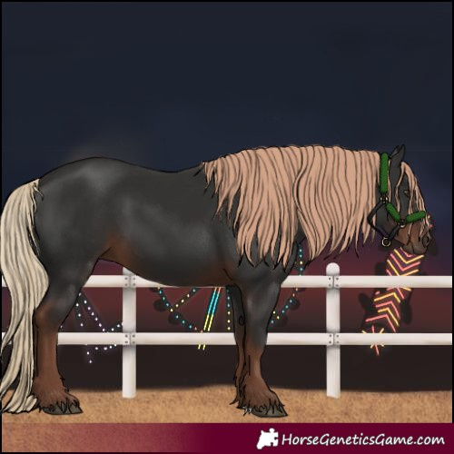 Horse Color:Liver Chestnut Rabicano 
