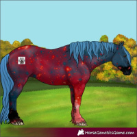 Horse Color:ERROR: UNKNOWN ANOMALY