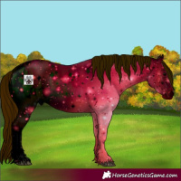 Horse Color:ERROR: UNKNOWN ANOMALY