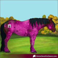 Horse Color:ERROR: UNKNOWN ANOMALY