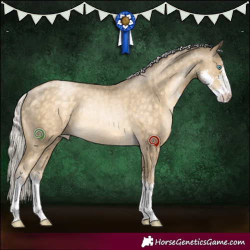 Horse Color:Silver Buckskin Pearl Sabino Rabicano 
