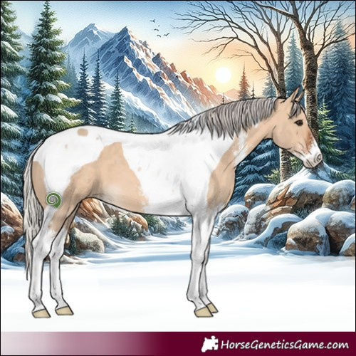 Horse Color:Silver Bay Dun Sabino Tobiano 