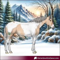 Horse Color:Silver Bay Dun Sabino Tobiano