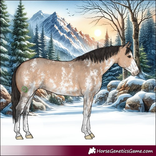 Horse Color:Bay Dun Sabino 
