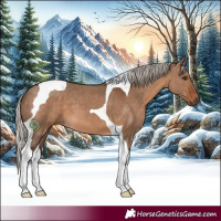 Horse Color:Silver Brown Dun Tobiano 