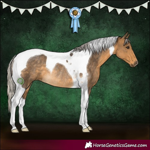 Horse Color:Silver Buckskin Tobiano Rabicano