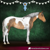Horse Color:Silver Buckskin Tobiano Rabicano