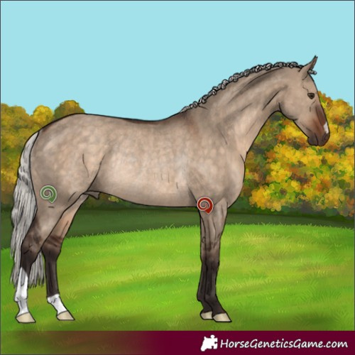 Horse Color:Silver Brown Dun Rabicano 