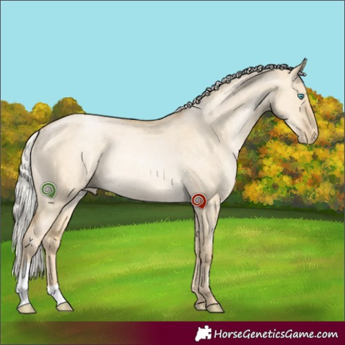 Horse Color:Silver Buckskin Pearl Dun Mushroom Rabicano 