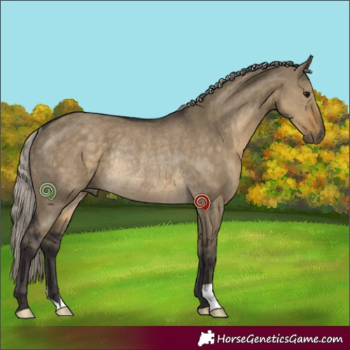 Horse Color:Silver Smoky Grullo Rabicano 