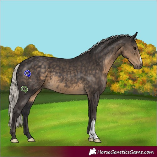 Horse Color:Silver Smoky Black 