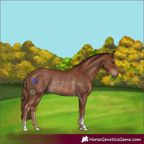 Horse Color:Chestnut Rabicano 