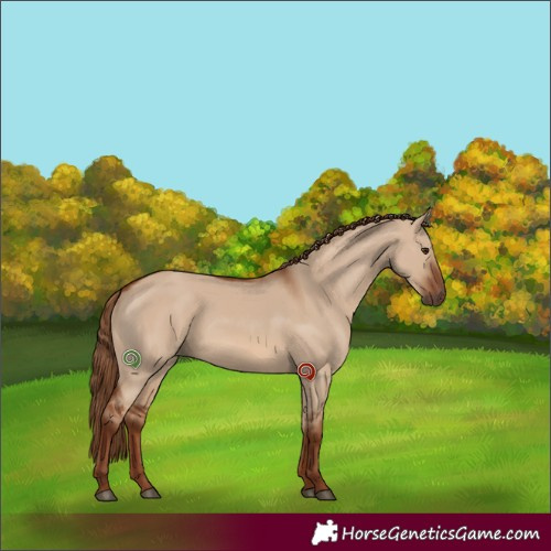Horse Color:Red Dun 