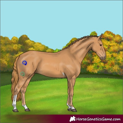 Horse Color:Chestnut Tobiano 