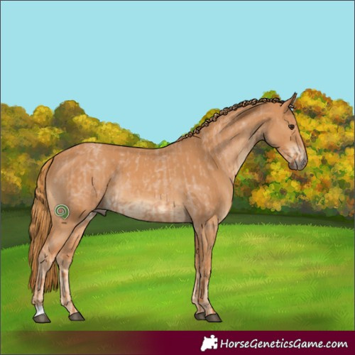 Horse Color:Red Roan  and Chestnut 