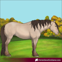Horse Color:Amber Champagne Dun 