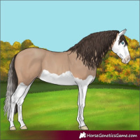 Horse Color:Amber Champagne Splash 