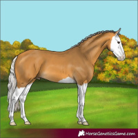 Horse Color:Silver Buckskin Splash 