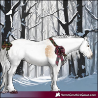 Horse Color:Gray White Spotted Buckskin Dun Rabicano  and Gray White Spotted Amber Cream Champagne Dun Rabicano 