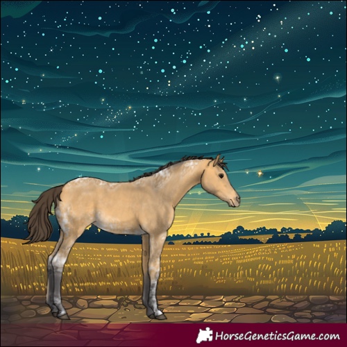 Horse Color:Buckskin Ice 