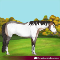 Horse Color:Brown Roan Frame 