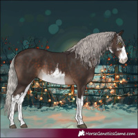 Horse Color:White Spotted Silver Brown 