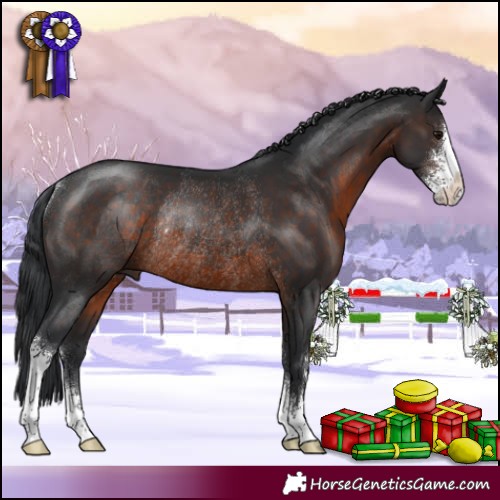 Horse Color:Brown Sabino Rabicano 