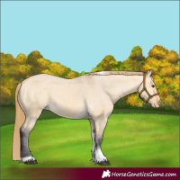 Horse Color:Buckskin Dun Tobiano Varnish 