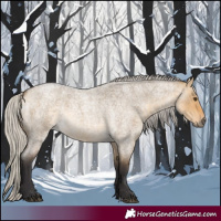 Horse Color:Silver Buckskin Roan Dun 