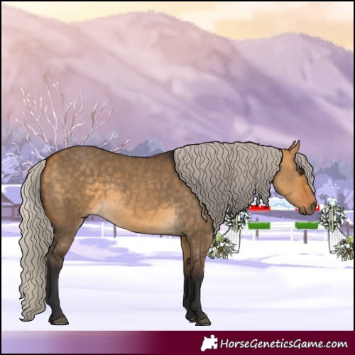 Horse Color:Silver Buckskin Dun 